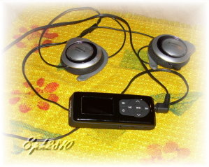 MP3 Player